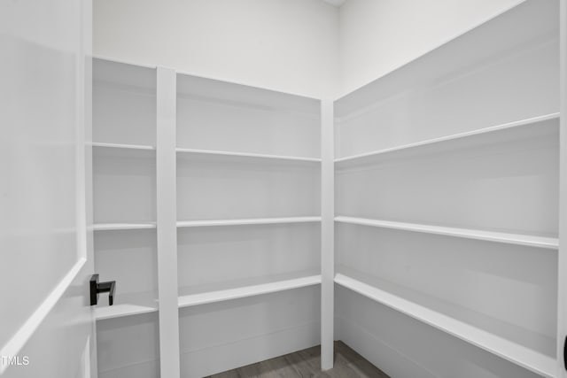 107 Mohave Dr, Louisburg, NC 27549 - view of pantry