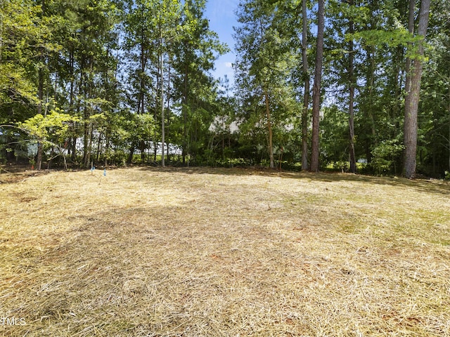107 Mohave Dr, Louisburg, NC 27549 - view of yard