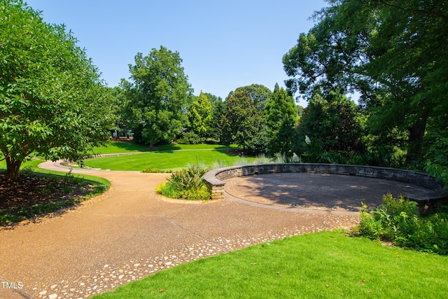 911 Washington St Unit 304, Raleigh, NC 27605 - view of property's community featuring a yard