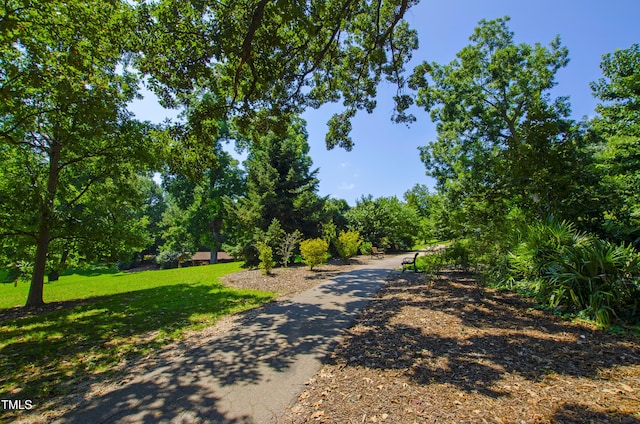 911 Washington St Unit 304, Raleigh, NC 27605 - view of road