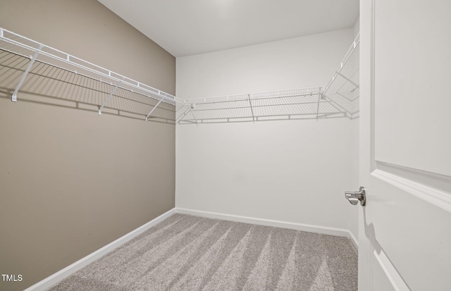 5000 Reader Way, Durham, NC 27703 - photo 13