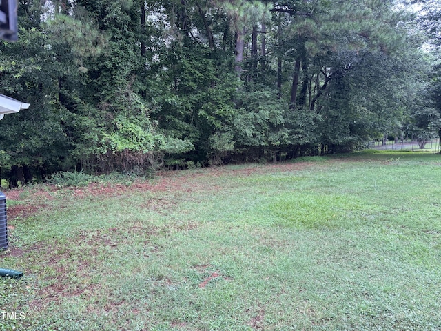 301 Roseland Ave, Durham, NC 27712 - view of green lawn