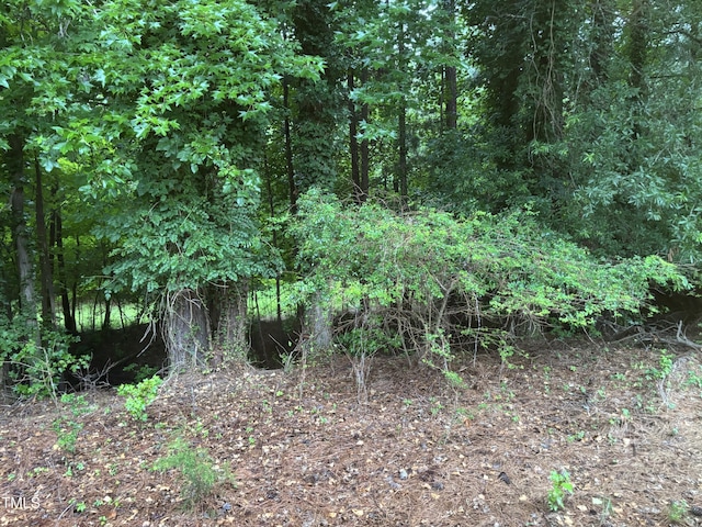 301 Roseland Ave, Durham, NC 27712 - view of local wilderness