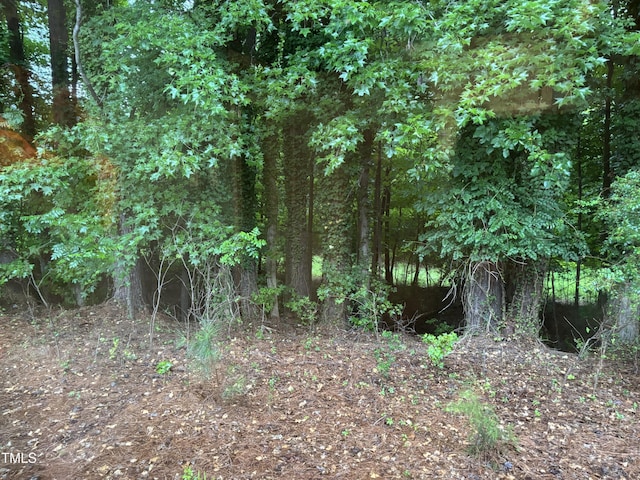 301 Roseland Ave, Durham, NC 27712 - view of wooded area