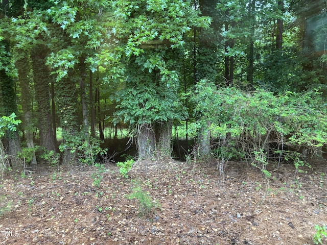 301 Roseland Ave, Durham, NC 27712 - view of wooded area