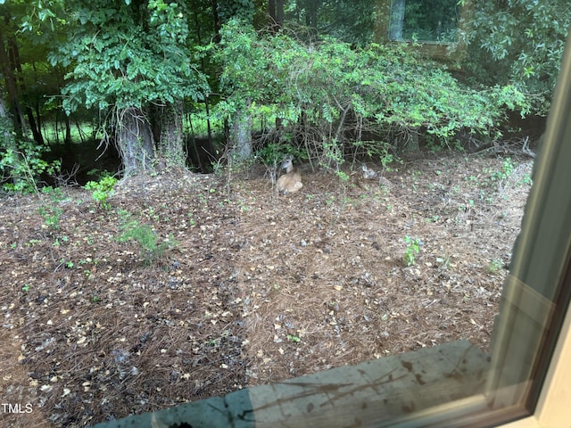 301 Roseland Ave, Durham, NC 27712 - view of nature
