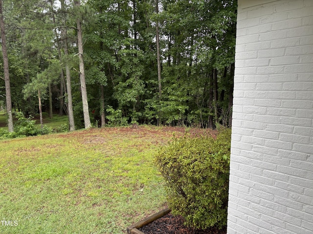 301 Roseland Ave, Durham, NC 27712 - view of yard