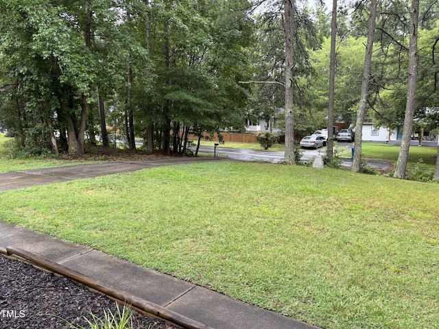 301 Roseland Ave, Durham, NC 27712 - view of grassy yard