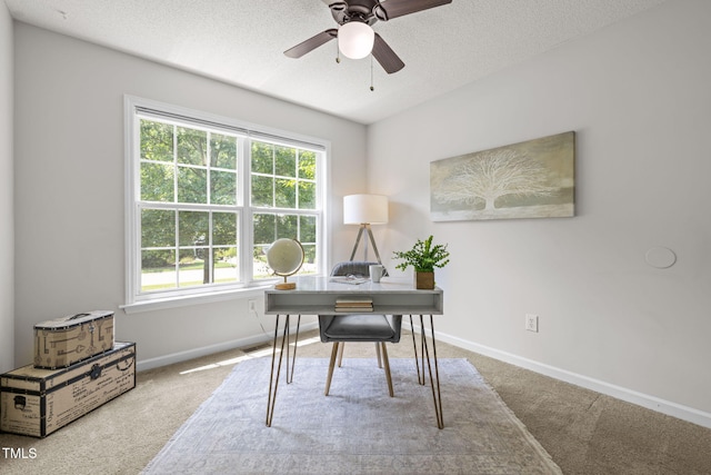 508 Hidden Cellars Dr, Holly Springs, NC 27540 - carpeted office featuring plenty of natural light, ceiling fan, and a textured ceiling