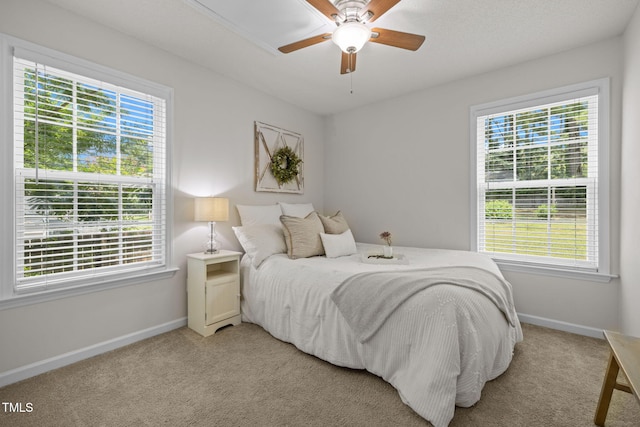 508 Hidden Cellars Dr, Holly Springs, NC 27540 - bedroom featuring multiple windows, light carpet, and a ceiling fan