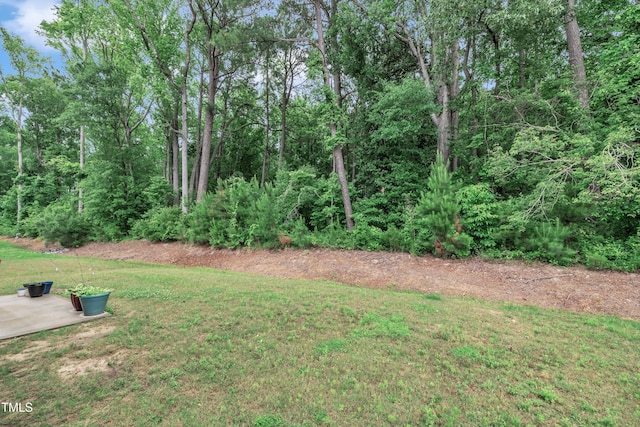 111 S Rose Hill Dr, Clayton, NC 27520 - photo 38