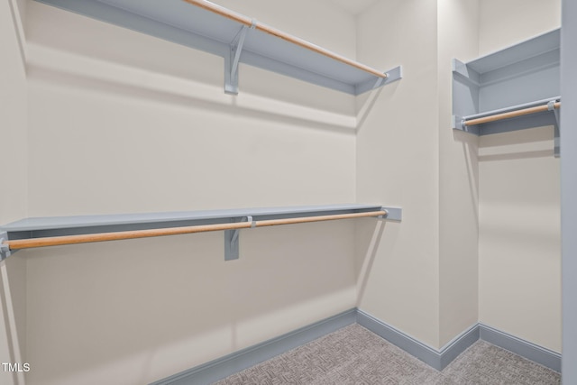 147 Harmony Trl, Broadway, NC 27505 - view of spacious closet