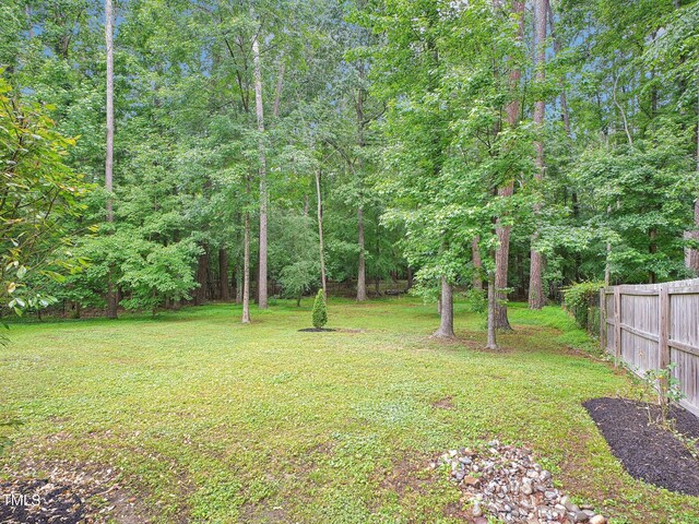 3934 Hope Valley Rd, Durham, NC 27707 - view of yard