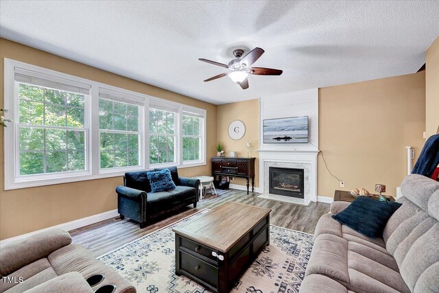 2501 Springfield Park Dr, Raleigh, NC 27614 - photo 18