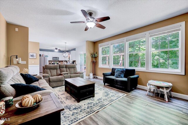 2501 Springfield Park Dr, Raleigh, NC 27614 - photo 20