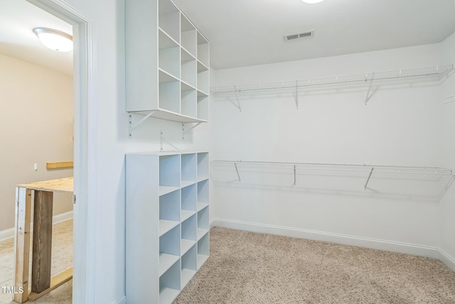 20 Sugarpine Trl, Clayton, NC 27520 - walk in closet featuring carpet floors