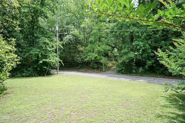 303 Spring St, Louisburg, NC 27549 - view of grassy yard