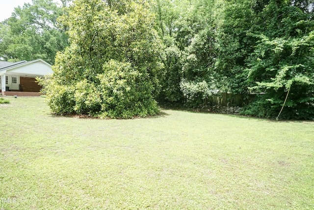 303 Spring St, Louisburg, NC 27549 - view of green lawn