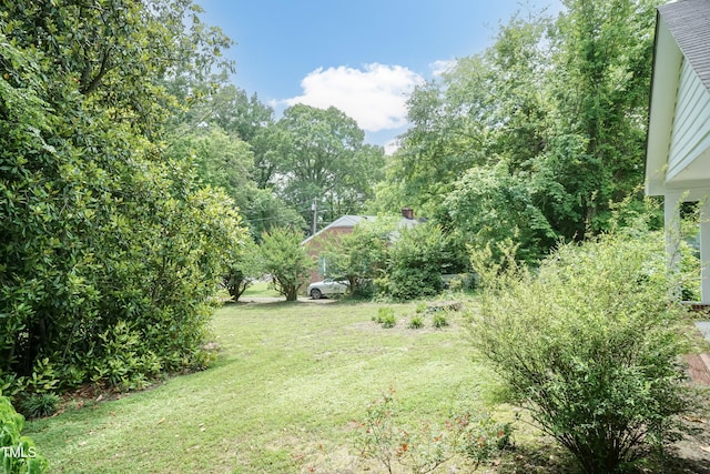 303 Spring St, Louisburg, NC 27549 - view of grassy yard