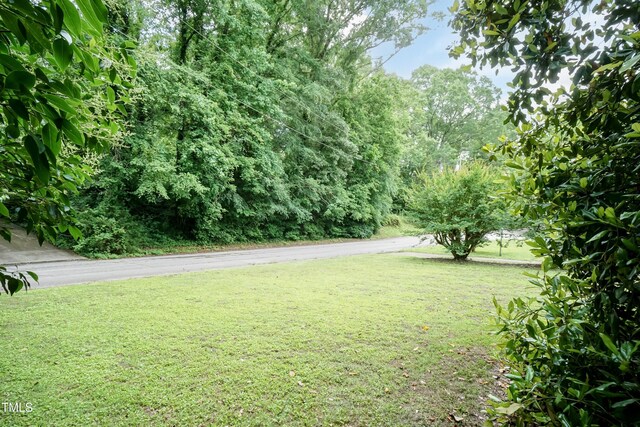 303 Spring St, Louisburg, NC 27549 - view of green lawn