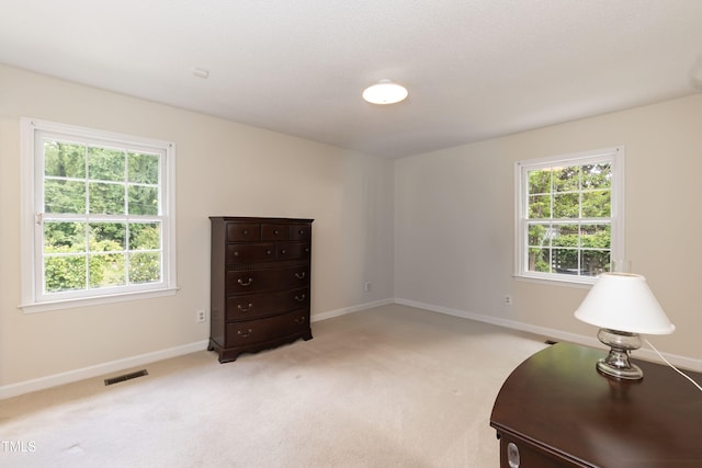 303 Spring St, Louisburg, NC 27549 - sitting room with plenty of natural light, baseboards, and light colored carpet