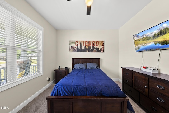 374 Heart Pine Dr, Wendell, NC 27591 - photo 26