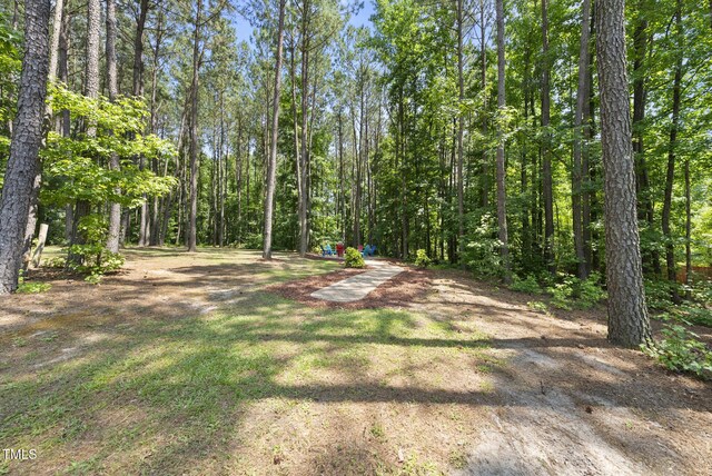 374 Heart Pine Dr, Wendell, NC 27591 - photo 40