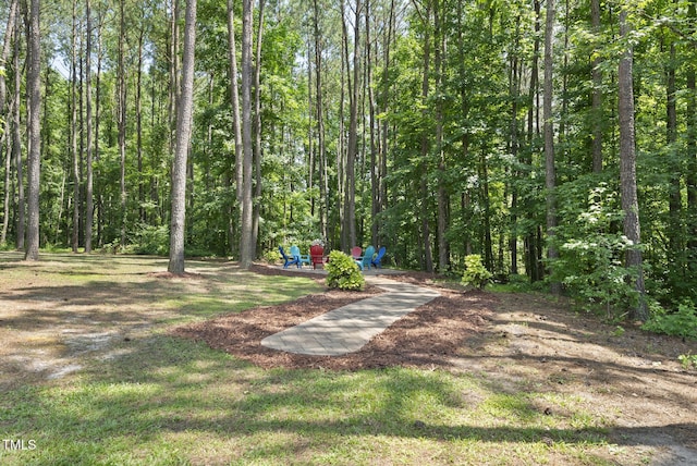374 Heart Pine Dr, Wendell, NC 27591 - photo 41