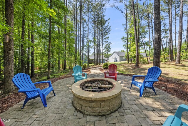 374 Heart Pine Dr, Wendell, NC 27591 - photo 43