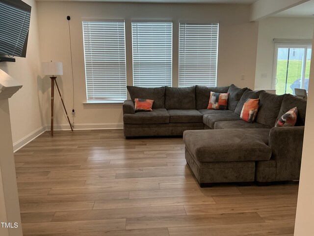 1116 Sidney Creek Dr Unit 1116, Zebulon, NC 27597 - living room featuring baseboards and light wood finished floors