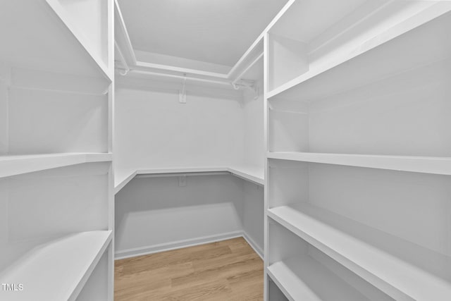 413 Top Greene Ln, Raleigh, NC 27601 - walk in closet featuring light wood finished floors