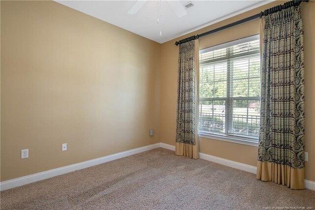 239 Nandina Ct Unit 21A, Fayetteville, NC 28311 - unfurnished room with plenty of natural light, light carpet, and baseboards