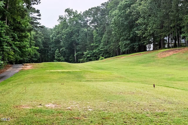 3285 Edinburgh Dr, Sanford, NC 27332 - photo 35