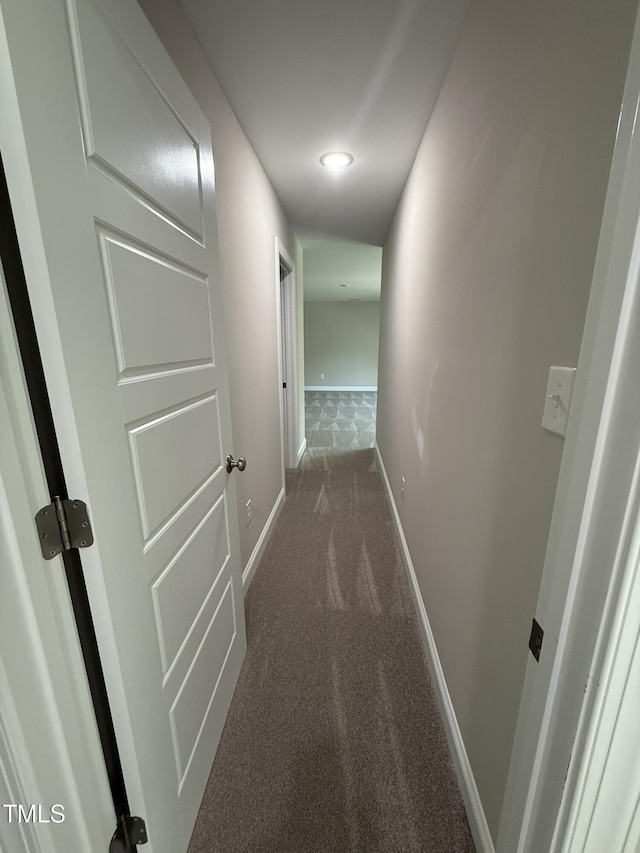 77 Mineral Springs Way, Benson, NC 27504 - photo 19