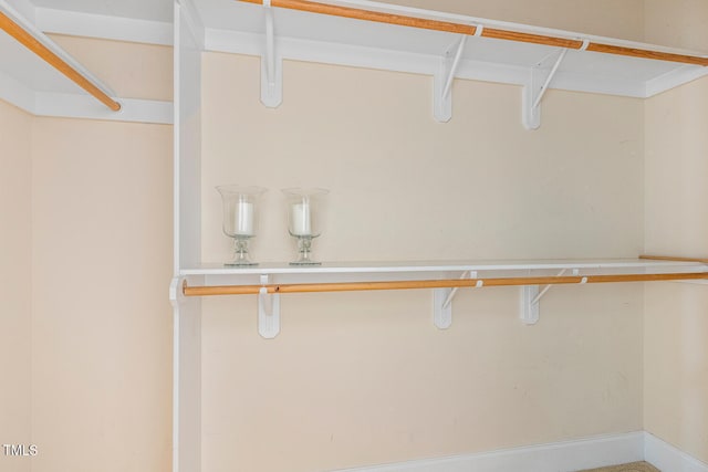 206 W Stoneybrook Ct, Benson, NC 27504 - view of walk in closet