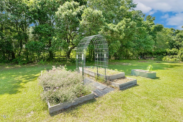 206 W Stoneybrook Ct, Benson, NC 27504 - view of grassy yard with a vegetable garden