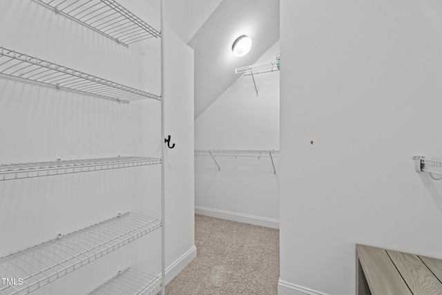 4333 US-117 Hwy, Wilson, NC 27893 - walk in closet with carpet flooring