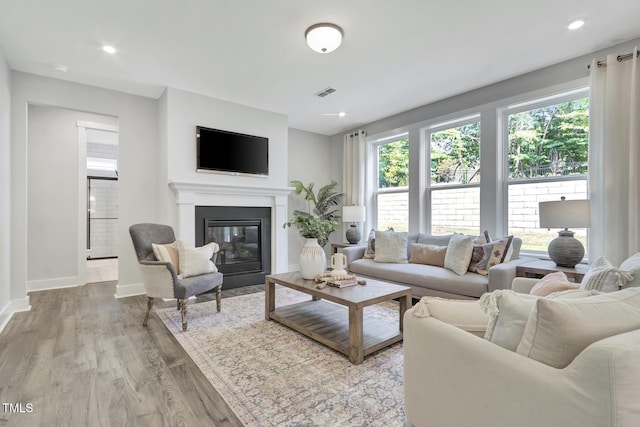 1100 Balsawood Dr Unit 5, Durham, NC 27705 - living area featuring wood finished floors, a glass covered fireplace, baseboards, and recessed lighting