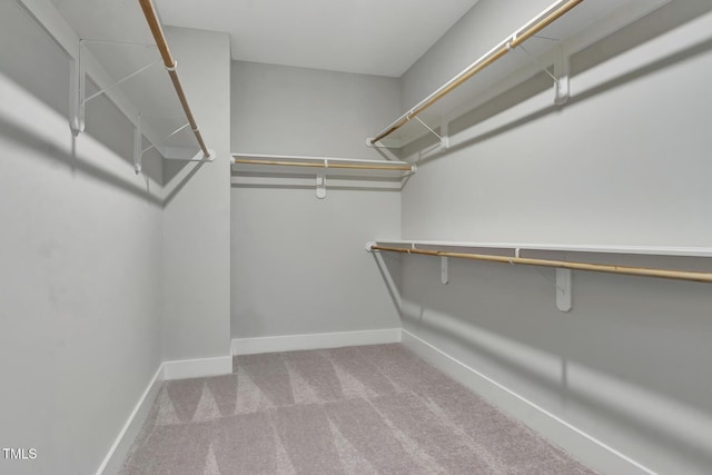 1100 Balsawood Dr Unit 5, Durham, NC 27705 - walk in closet with carpet