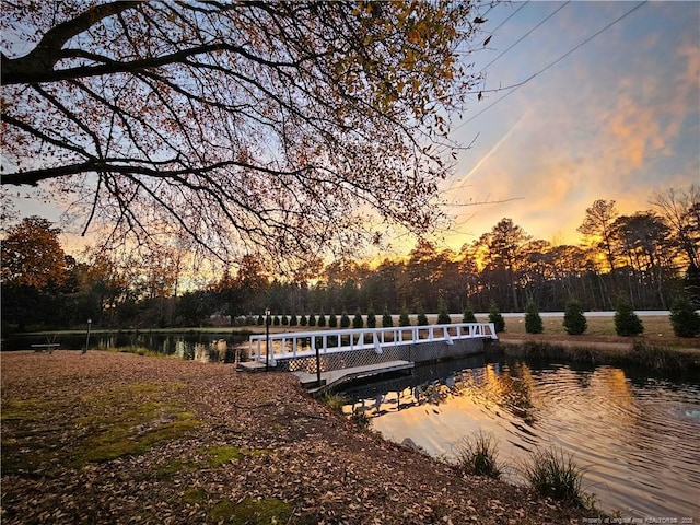 3647 Olivia Rd, Sanford, NC 27332 - dock featuring a water view