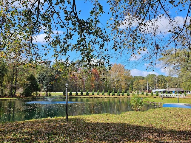 3647 Olivia Rd, Sanford, NC 27332 - view of home's community with a water view and a forest view