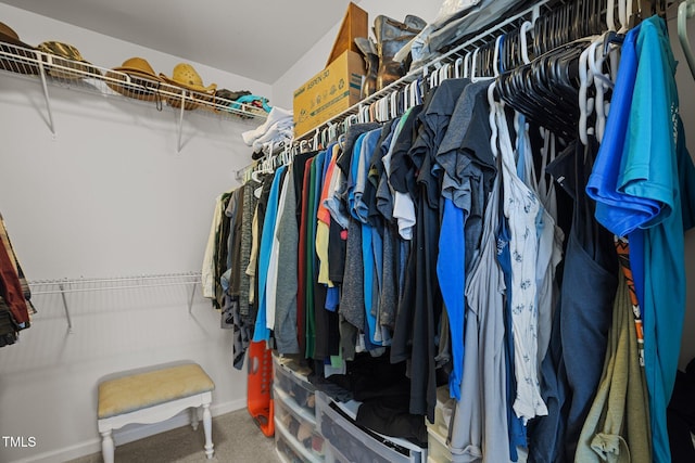 204 Ashland Hill Dr, Holly Springs, NC 27540 - walk in closet with carpet