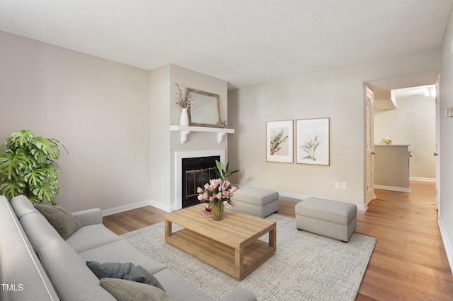 118 Rhum Pl, Garner, NC 27529 - living area with a glass covered fireplace, wood finished floors, and baseboards