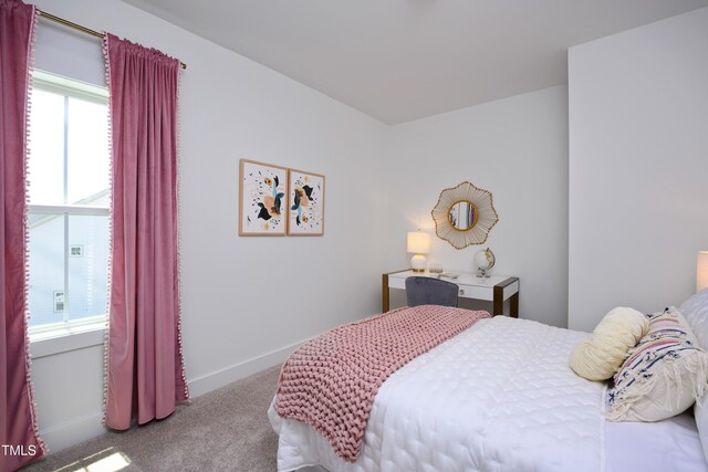 134 Beacon Dr, Pittsboro, NC 27312 - bedroom with carpet floors