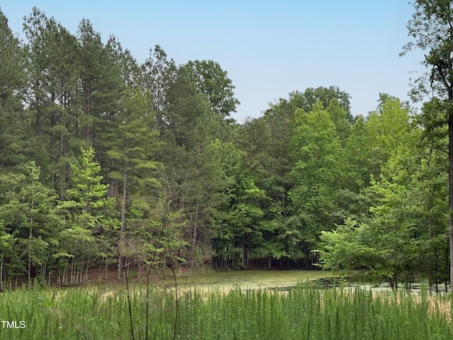 LOT4A Millbrook Cir, Chapel Hill, NC 27516 - photo 3