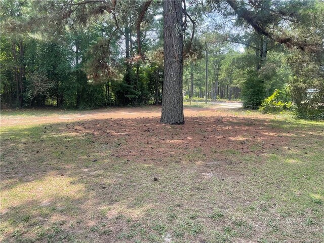 3607 Sanderosa Rd, Fayetteville, NC 28312 - photo 3