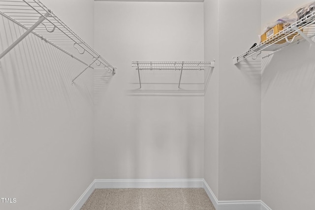 7502 Latteri Ct, Raleigh, NC 27613 - view of spacious closet