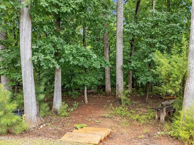 7502 Latteri Ct, Raleigh, NC 27613 - view of nature