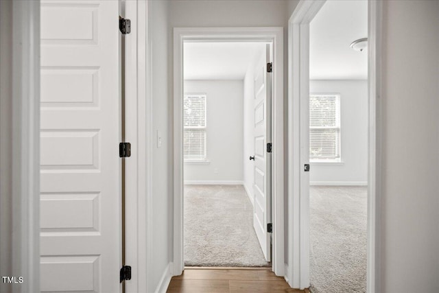 214 George Pine Way, Knightdale, NC 27545 - hall featuring carpet flooring, baseboards, and wood finished floors
