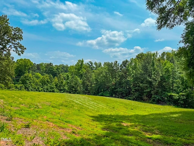 9455 Boston Rd, Roxboro, NC 27574 - view of grassy yard featuring a wooded view